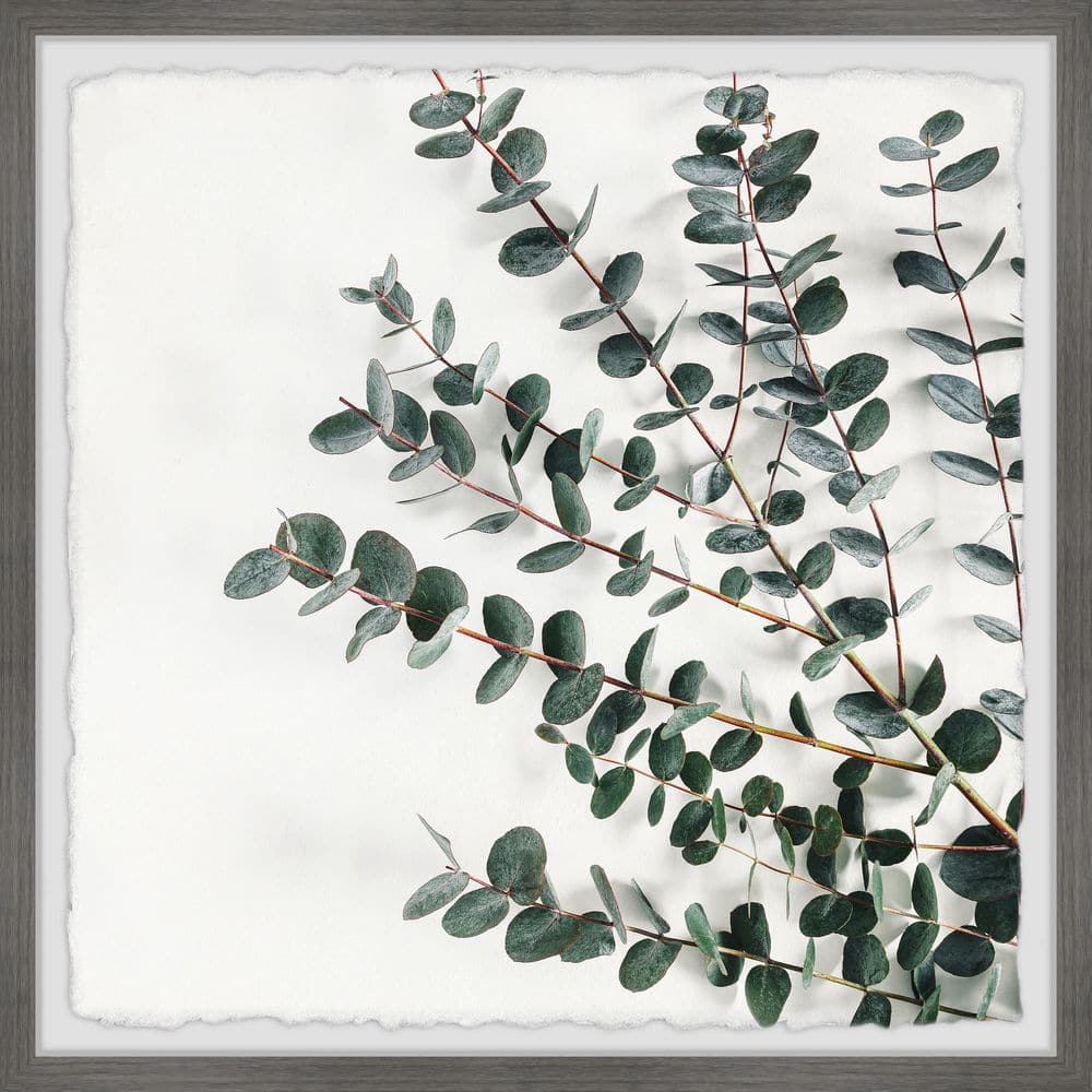 House Plant by Marmont Hill Framed Nature Art Print 12 in. x 12 in.
