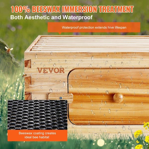 BEE-HIVE フライヤー 6f622802-611f-4b69-a075-