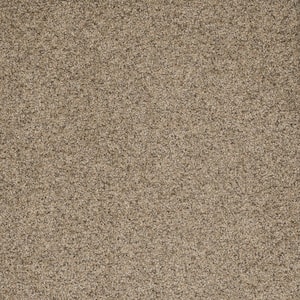 Bradmore I - Shy - Beige 45 oz. SD Polyester Texture Installed Carpet