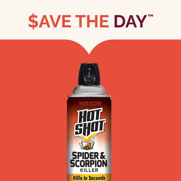 Hot Shot 16 oz. Spider and Scorpion Insect Killer Aerosol Spray HG