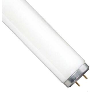 Luxrite F32T8/765 Tubo Fluorescente T8 121,9 Cm 32W 6500K 2650 Lumen G13