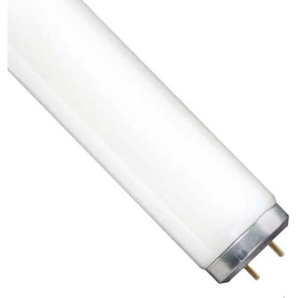 Luxrite F32T8/765 Tubo Fluorescente T8 121,9 Cm 32W 6500K 2650 Lumen G13