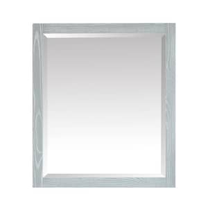 Riley 28 in. W x 32 in. H Framed Rectangular Beveled Edge Bathroom Vanity Mirror in Seal Salt Gray