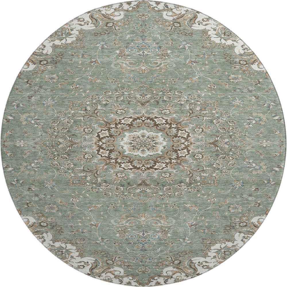 Mayfield Premium Machine Washable Abstract AMF2495 Sage 8 ft. x 8 ft. Round Rug price history on PriceWatchPro