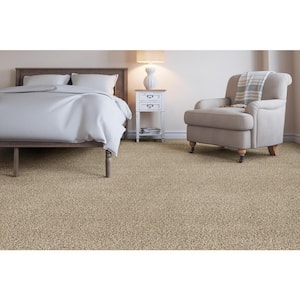 Trendy Threads I - Popular - Beige 40 oz. SD Polyester Texture Installed Carpet