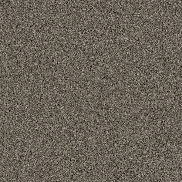 Home Decorators Collection Piece Of Cake Rocking Chair Brown 33 oz. Solution Dyed Polyester Texture Installed Carpet