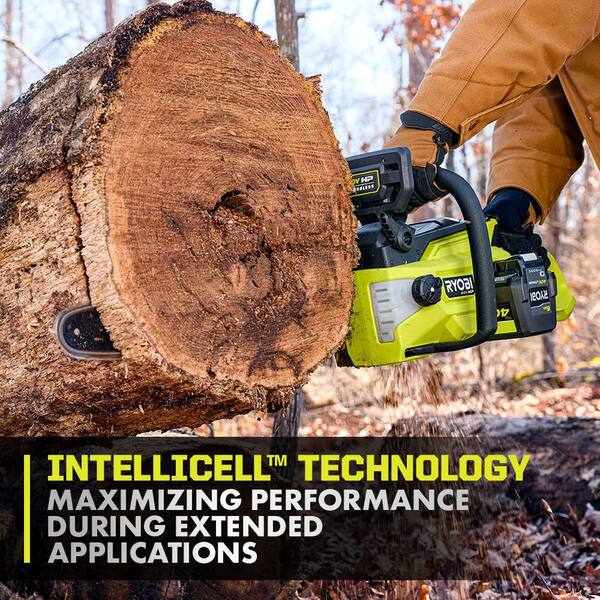 RYOBI - 40V Lithium-Ion 6.0 Ah High Capacity Battery and Rapid Charger Starter Kit (2-Batteries)