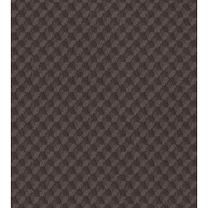 Exquisite - Dakota - Brown 39.3 oz. Nylon Pattern Installed Carpet