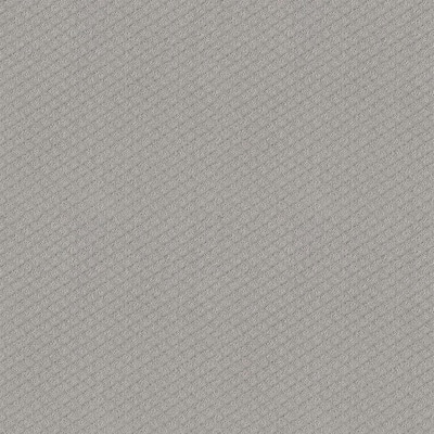 Aura - Color Network Pattern Gray Carpet