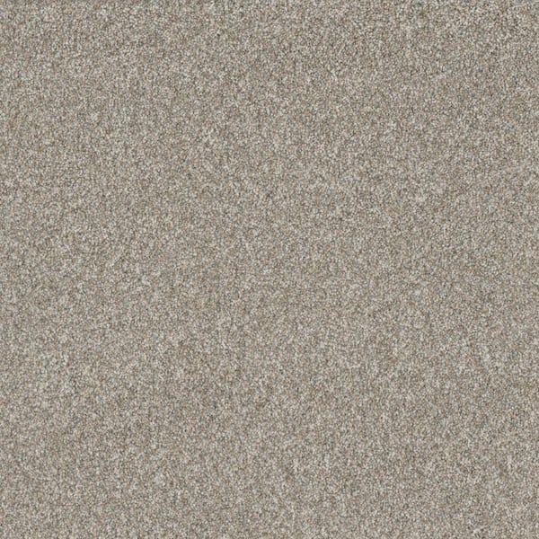 Engineered Floors 8 in. x 8 in. Texture Carpet Sample - Classic Comfort - Color Trenton