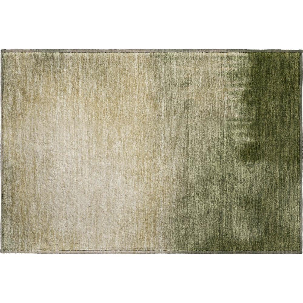 Mayfield Premium Machine Washable Abstract AMF2420 Olive 2 ft. x 3 ft. Accent Rug price history on PriceWatchPro