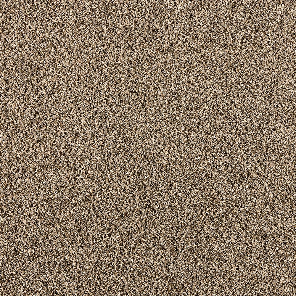 8 in. x 8 in. Texture Carpet Sample - Radiant Retreat III - Color Walnut price history on PriceWatchPro