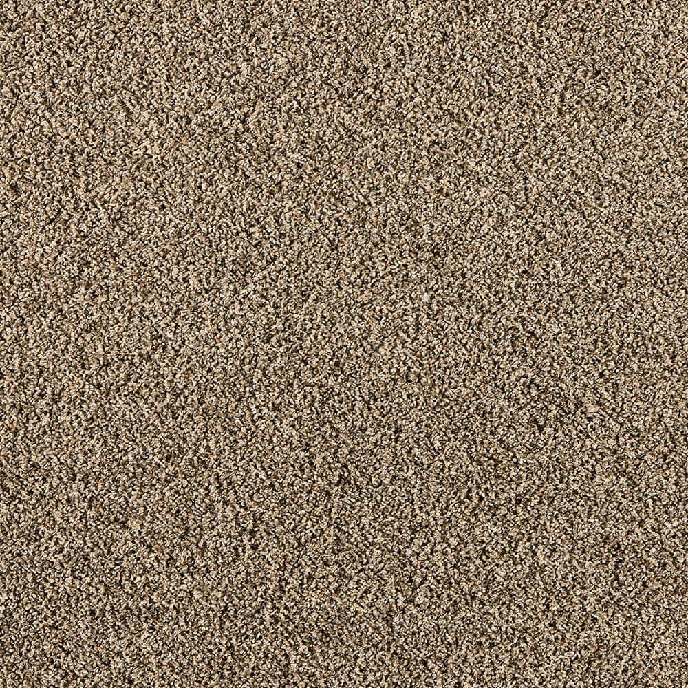 8 in. x 8 in. Texture Carpet Sample - Radiant Retreat I  - Color Walnut price history on PriceWatchPro
