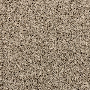8 in. x 8 in. Texture Carpet Sample - Radiant Retreat I  - Color Walnut
