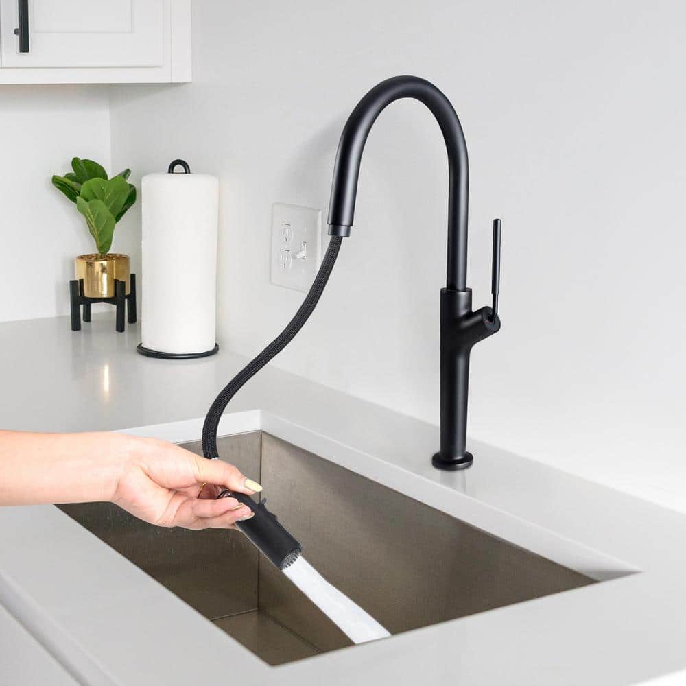 Matte Black Single Handle High Arc Kitchen Faucet with Pull-out Spray