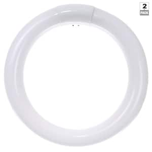 sylvania utility cool white circline