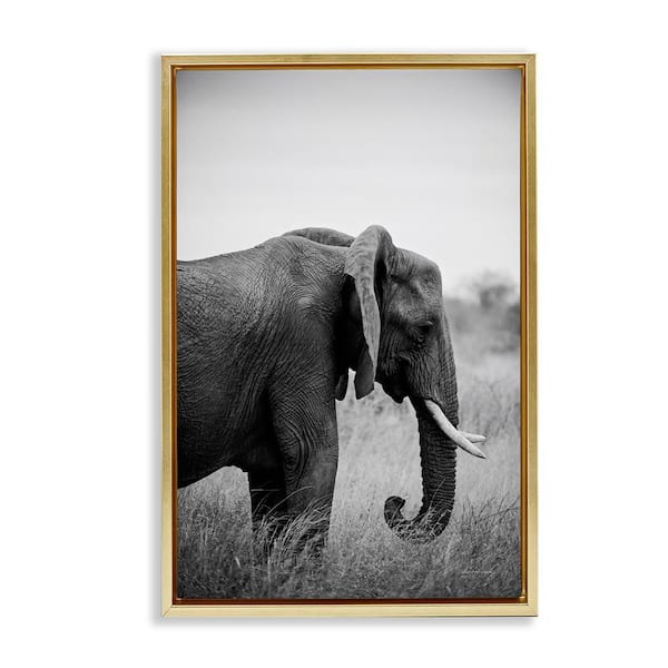 Stupell Industries Side Profile Elephant by Sharon Vardy Gold Floater Frame Animal Graphic Art Print 25 in. x 17 in.