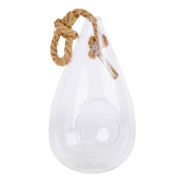 Arcadia Garden Products Pear 4 in. x 7 in. Glass Hanging Terrarium
