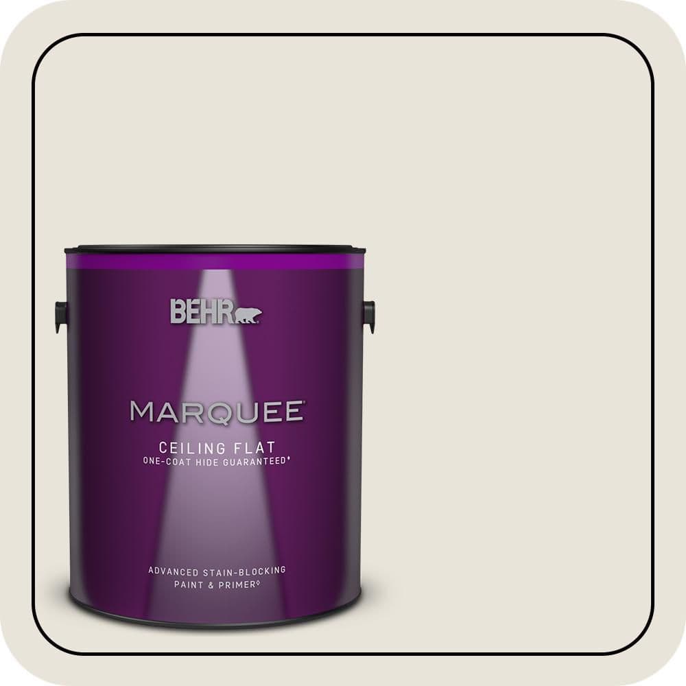 1 gal. #BWC-13 Smoky White Ceiling Flat Interior Paint & Primer price history on PriceWatchPro