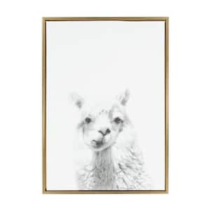 33 in. x 23 in. "Alpaca Portrait" by Tai Prints Framed Canvas Wall Art