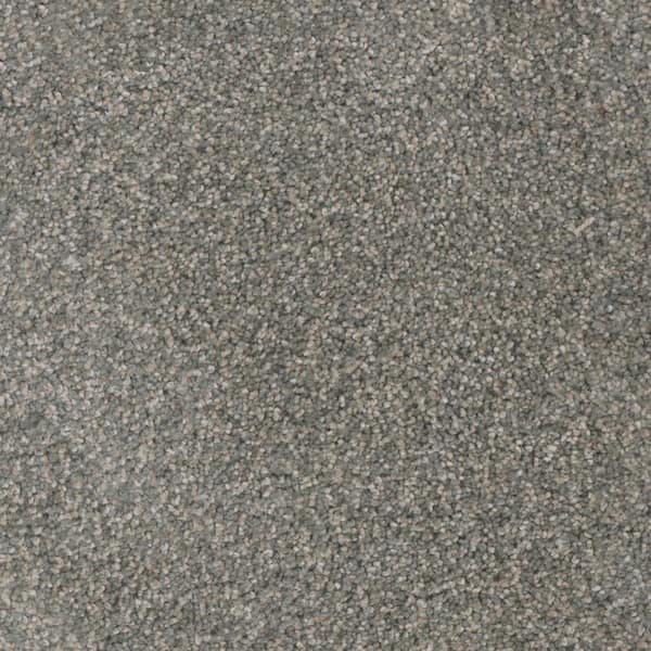 Home Decorators Collection Affectionate I - Embrace - Green 40 oz. SD Polyester Texture Installed Carpet