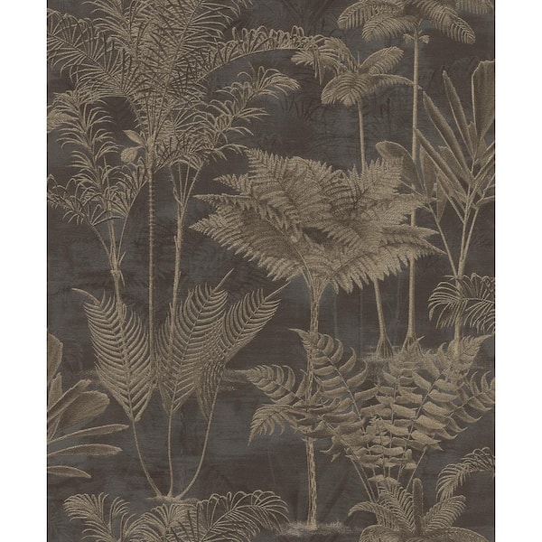 Kinabalu Black Rainforest Wallpaper Sample
