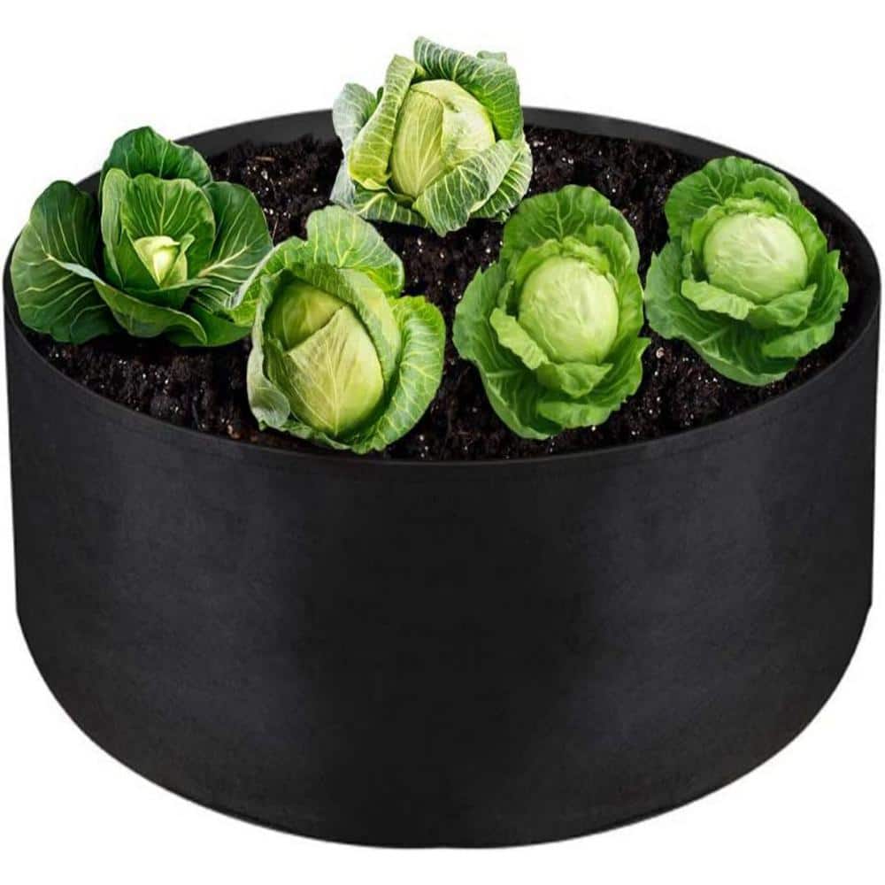 https://images.thdstatic.com/productImages/6a859602-f2f5-48f6-8e95-de94934ad2bb/svn/black-dyiom-grow-bags-b088m6k21d-64_1000.jpg