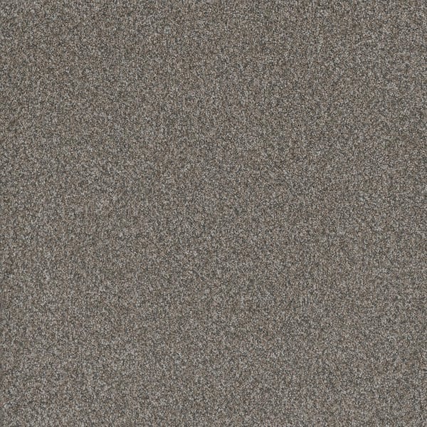 Serene Glory II-Peaceful Brown-55 oz. SD Polyester Texture Installed Carpet