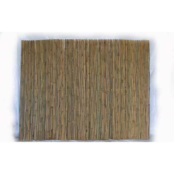 Tonkin 6 ft. H x 8 ft. L Bamboo Fence