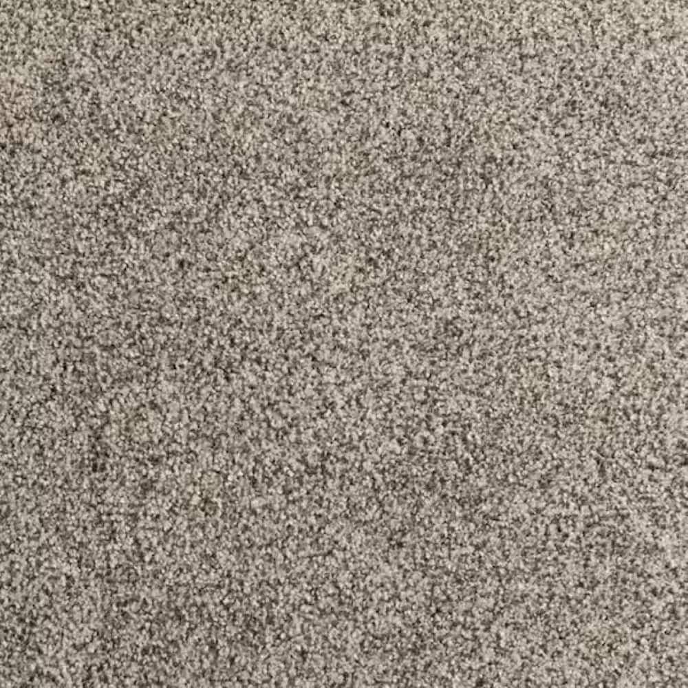 8 in. x 8 in. Texture Carpet Sample-Heartfelt Fashion-Color Excaliber price history on PriceWatchPro