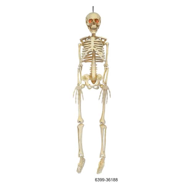Home Accents Holiday 3 ft LED Hanging Skeleton
