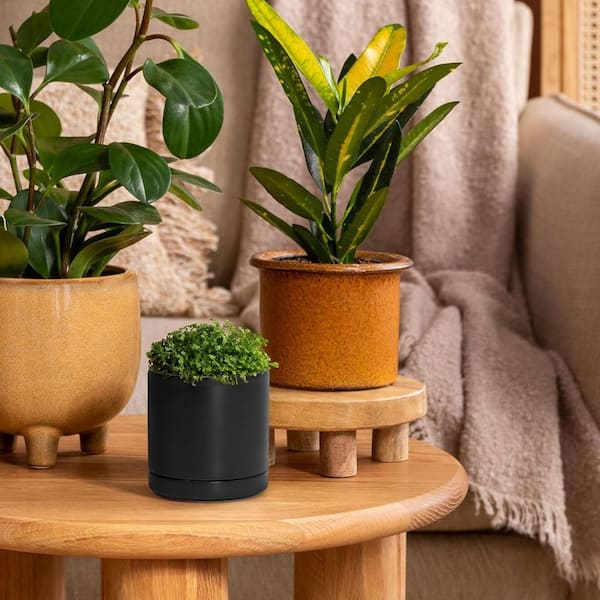 Black Ceramic Indoor/Outdoor Planter with Saucer (3.5 in. W x 3.5