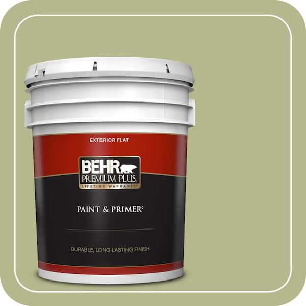 BEHR PREMIUM PLUS 5 gal. Home Decorators Collection #HDC-SP14-1 Secret Glade Flat Exterior Paint & Primer