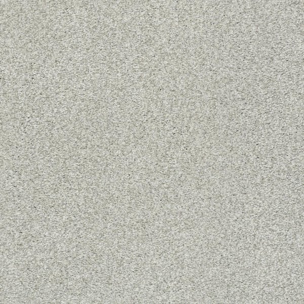 Lifeproof Karma II - Dune - Beige 50.5 oz. Nylon Texture Installed Carpet
