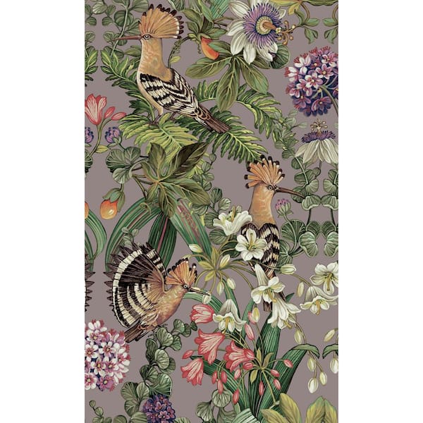 Walls Republic Heather Tropical Birds Bold Tropical Non-Woven Paper Paste the Wall Double Roll Wallpaper