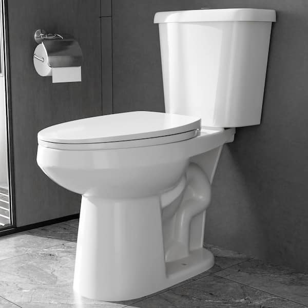 19 in. ADA Height 2-Piece Toilet 1.1/1.6 GPF Dual Flush Elongated White Tall Toilet Comfort Bowl Height Bathroom Toilet