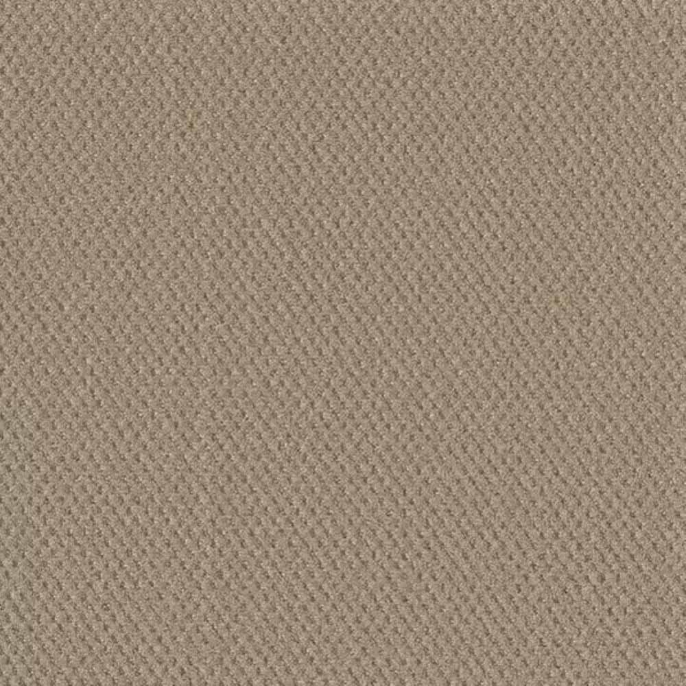 8 in. x 8 in. Pattern Carpet Sample-Fretboard-Color Twang price history on PriceWatchPro