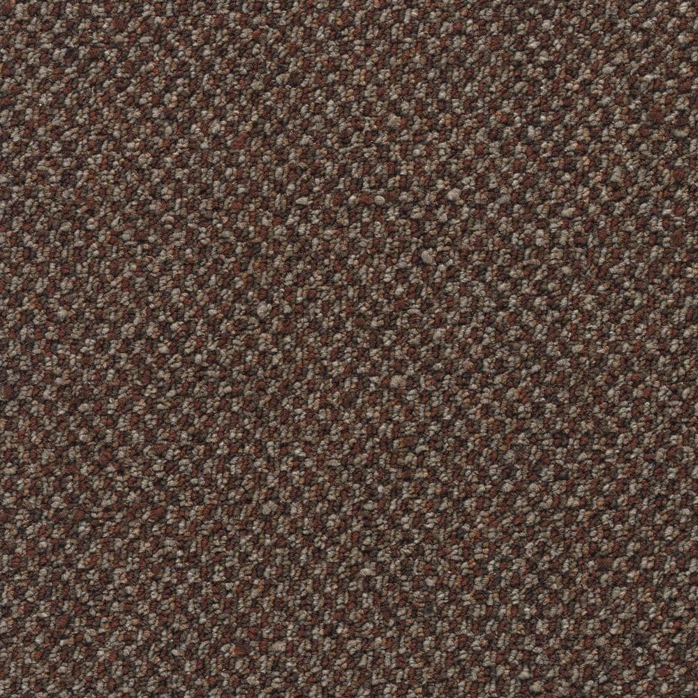 8 in. x 8 in. Pattern Carpet Sample - Colwick -Color Sienna price history on PriceWatchPro