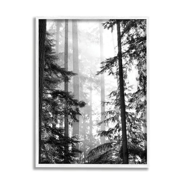 Stupell Industries Forest Light Shining Trees Landscape Photography By Gail Peck Framed Print Nature Texturized Art 11 in. x 14 in.