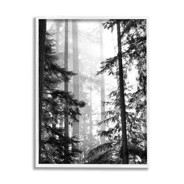 Stupell Industries Forest Light Shining Trees Landscape Photography By Gail Peck Framed Print Nature Texturized Art 16 in. x 20 in.