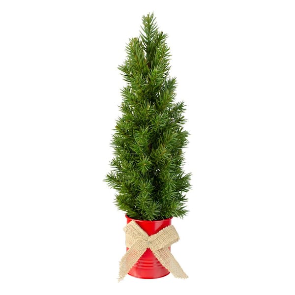 Northlight 17 In Mini Tabletop Christmas Tree With Red Metal Base And Burlap Bow Unlit 34315164 The Home Depot