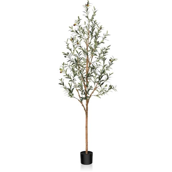 DR.Planzen 6 ft. Artificial Olive Tree, Lifelike Fruits and Natural ...