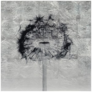 Dandelion Unframed Nature Flowers Reverse Printed on Tempered Glass with Silver Leaf Wall Art 24 in. x 24 in.