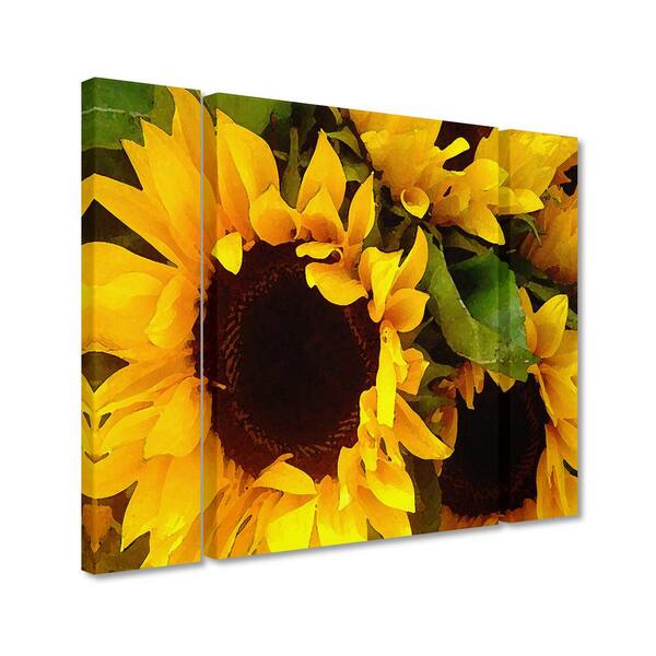Large 30 to 8-ft/96 Round Canvases