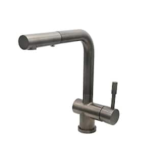 Nassau 1-Handle Pull Out Sprayer Kitchen Faucet (with Spray Feature) in Gun Metal