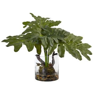 14 in. Philodendron Arrangement with Vase