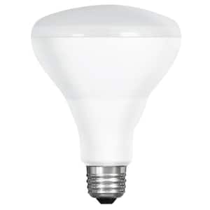 65-Watt Equivalent BR30 IntelliBulb Switch to Dim LED Flood Light Bulb, Soft White 2700K