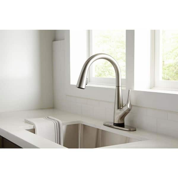 Eagleton Single-Handle Pull-Down Sprayer Kitchen Faucet With Filtration in Stainless Steel