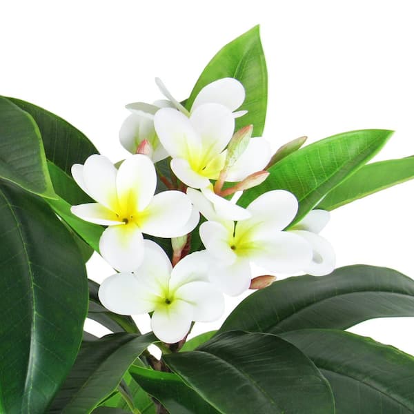 4 ft. Real Touch Cream White Artificial Plumeria Tree Tropical Plant in Pot