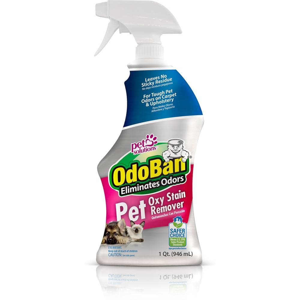 OdoBan 32 oz. Pet Oxy Stain Remover, Oxygen Activated Hydrogen Peroxide Pet Stain Remover for Carpet & Fabric, Fragrance Free -  961561-Q
